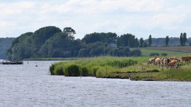 Gamborg Fjord, her finder du læ til båd, kajak eller kano